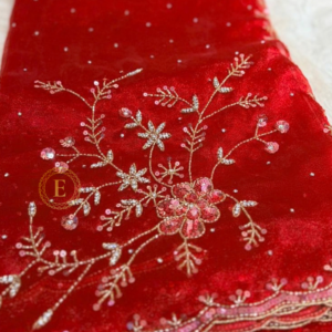 Red Tissue designer saree